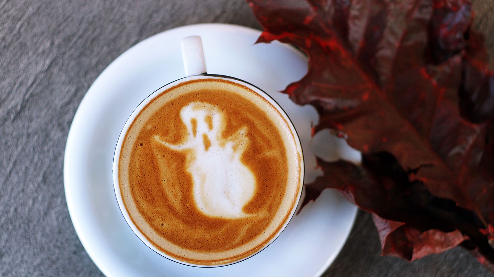 Best Designer Replica Sites 2020 Literacy Basics